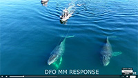 DFO-MM-RESPONSE 